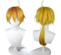 ydound 2022 Cos Wig Parrucca Cosplay Anime, Parrucca Cosplay Genshin Impact Thoma, con Cappuccio for Parrucca Gratuito, for la Festa di Halloween Carnevale di Halloween con Parrucca