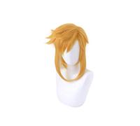 ydound 2022 La Leggenda di Zelda respiro del Link Selvaggio Golden Short Ponytail Parrucca Cosplay Costume Capelli Sintetici Resistenti al Calore