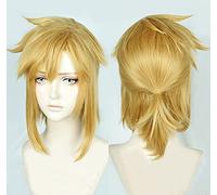 ydound 2022 Legenda di Zelda: respiro del Collegamento Selvatico Corto Golden Pony Coda Capelli Resistenti al Calore Capelli Cosplay Cosplay Costume Parrucca+ Tappo della Parrucca Libera
