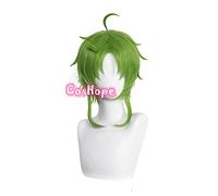 ydound 2022 Sylphiette Greyrat Cosplay disoccupazione reincarnazione Cosplay MUSHOKU Tensei Parrucca Verde Cosplay Anime Resistente al Calore Parrucche Sintetiche Resistenti al Calore