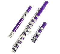 YDVGERTH Flauto traverso Flauto A 16 Fori Chiusi Chiave C Flauto d'Argento Professionale Strumento da Concerto Scatola per Flauto Parti di Guanti in Stoffa(Purple)