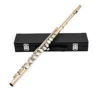 YDVGERTH Flauto traverso Flauto A 16 Fori Chiusi Flauto Chiave C Flauto da Concerto Flauto Traverso Professionale A Fiato con Chiave E(Gold And Silver)