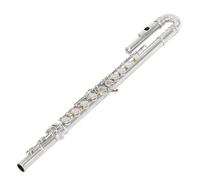 YDVGERTH Flauto traverso Flauto Curvo Placcato in Argento Flauto A Doppia Testa 16 Fori Tasto E Canzone C Coda Strumento Musicale Placcato in Argento
