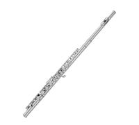 YDVGERTH Flauto traverso Flauto in Argento Nichelato A 16 Fori Chiave C Esame per Principianti Flauto per Orchestra Generale(Nickel Plating)