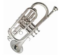 YDVGERTH Trombette Cornetta Strumento Musicale Si Bemolle Tromba Argentata Strumento Musicale Principiante Adulto Portatile Standard
