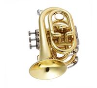 YDVGERTH Trombette Mini Tromba Tascabile SIB Flat Strumento A Fiato in Ottone Guanti Tromba Standard Professionale con Suono Meraviglioso