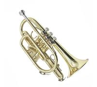 YDVGERTH Trombette SIB Bemolle B Tromba Corta Piccolo Strumento in Ottone Livello di Prestazioni Professionale Strumento Tromba Corta