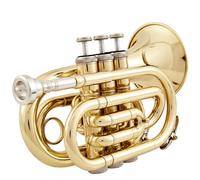 YDVGERTH Trombette Strumenti Tromba in Si Bemolle Tromba Tascabile Cornetta Ottone Laccato Tono Standard