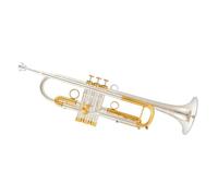YDVGERTH Trombette Tromba Retro Rame Si Piatto Tromba Custodia Accessori Buona qualità Standard Tromba per Principianti