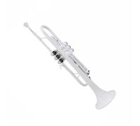 YDVGERTH Trombette Tromba Si Bemolle Corpo in Ottone Tromba Strumento Strumento Tromba Standard in Acciaio Inossidabile A Toni Pieni