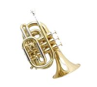 YDVGERTH Trombette Tromba Tascabile Strumento Musicale SIB Lacca Dorata Professionale Acciaio Inossidabile Ottone Tromba per Principianti