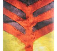 Yeah Yeah Yeahs Show Your Bones (Vinyl LP)