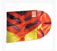 Yeah Yeah Yeahs Show Your Bones (Vinyl LP)