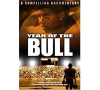 Year of the Bull