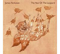 Year Of The Leopard - James Yorkston (Vinile)