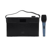 Yechiry Amplificatore per Chitarra, Amplificatore Acustico da 6 0 W, PA Portatile, Altoparlante Wireless Bluetooth 5.3, per Busking Ricaricabile con Microfono per