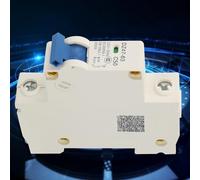 Yechiry Interruttore Automatico Miniaturizzato a 1 Polo Interruttore Antiruggine da 230 V CA per Piccoli Sistemi di Produzione di Energia e di Comunicazione (50A)