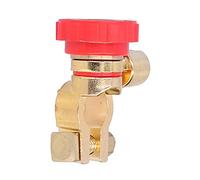 Yechiry Interruttore Terminale Batteria da 17 Mm, Connessione Girevole Facile Installazione con Protezione Antifurto, Ideale per, Camion, Barche (A(rosso))