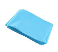 Yechiry Lenzuolo Impermeabile Usa e Getta per Copertura di Bellezza per Massaggi 10 Pezzi Materiale Non Tessuto Morbido Effetto Cotonoso 180x80 Cm (BLUE)