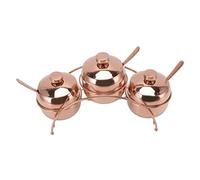 Yechiry Set Barattolo di Spezie in Acciaio Inossidabile con Coperchi 3 Pezzi e Porta Cucchiaio per Barbecue e Campeggio (Oro rosa)