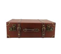 Yechiry Valigia in Pelle Vintage e Carina, Mini Valigia da Viaggio Senza Ruote in Metallo Resistente con Tracolla Protezione Angolare Squisita per Accessori Fotografici da Viaggio