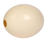 yeeplant Guscio d'uovo di struzzo naturale per arte e intaglio fai da te, altezza 16 cm, larghezza 13,5 cm, guscio ruvido liscio, colore crema, ideale per progetti scultura e decorazione casa lusso