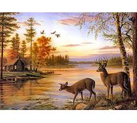 Yeerum DIY 5D Diamond Painting Tramonto Completo Accessori, Cervo Animale Ricamo Pittura Diamante Kit Completo Punto Croce Cristallo Strass Decorazione Della Casa 30x40 cm