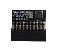 Yeiwenl Modulo di sicurezza crittografia TPM 2.0 con 20-1 pin compatibile con Windows 11 per scheda madre GIGABYTE/scheda madre ASUS
