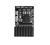 Yeiwenl Modulo TPM 2.0 LPC 14-1 pin, modulo di sicurezza crittografia TPM 2.0 per scheda madre ASROCK compatibile con Win11