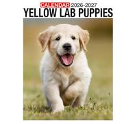 Yellow Lab Puppies Calendar 2026 - 2027: Two Year Planner Jan 2026 To Dec 2027 Premium Paper Ideal For Task Management And Gift Giving Us Holidays