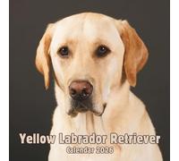 Yellow Labrador Retriever Calendar 2026: 14-Month Organizer from Nov 2025 to Dec 2026 | Perfect for Home, Office, School & Family Scheduling, For Men , Women , Girls , Boys