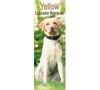 Yellow Labrador Retriever Slim 2026 Calendar | Slimline Wall Calendar | Dog Breed Gift | Plastic Free Packaging | by Avonside Publishing
