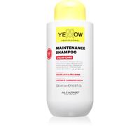 Yellow Professional Color Care Maintenance Shampoo shampoo per capelli tinti 500 ml