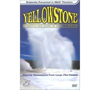 Yellowstone - Alles Andere ist nur ein Film IMAX