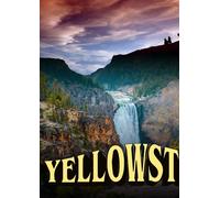 Yellowstone (DVD) Rosie The Bear Cub Michael R. Berger Bart The Bear