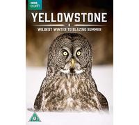 Yellowstone - Wildest Winter to Blazing Summer
