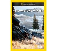 Yellowstone Winter (DVD)