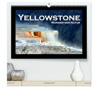 Yellowstone - Wunder der Natur (hochwertiger Premium Wandkalender 2026 DIN A2 quer), Kunstdruck in Hochglanz: Faszinierende Bilder aus dem ältesten Nationalpark der Welt