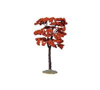 Yellowwood Tree, Large Cod. 44794