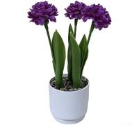 Yelvera Bonsai crisantemo in plastica robusta per uso interno senza innaffiare la luce solare o requisiti di manutenzione (viola)