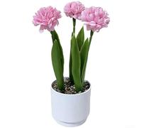 Yelvera Bonsai crisantemo in plastica robusta per uso interno senza innaffiare la luce solare o requisiti di manutenzione (rosa)