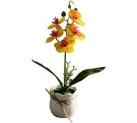 Yelvera Simulazione dell'orchidea Phalaenopsis progettata per la continuità estetica negli interni residenziali e dell'ospitalità (giallo)