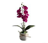 Yelvera Simulazione dell'orchidea Phalaenopsis progettata per la continuità estetica negli interni residenziali e dell'ospitalità (viola-rosso)