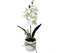 Yelvera Simulazione di orchidea Phalaenopsis progettata per la continuità estetica in interni residenziali e alberghieri (bianco)