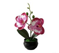 Yelvera Vaso nero a righe finte orchidee Phalaenopsis per asilo nido, sala giochi e ambiente di apprendimento precoce (rosa scuro)