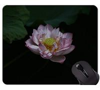 YENDOSTEEN Flower Water Lily Lotus Mouse Pad per Mouse Personalizzato con Tappetino per Mouse