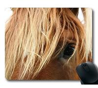 YENDOSTEEN Rilievo di Topo di Corsa di Cavalli, fine della Razza Animale, stuoia del Topo del Cavallo