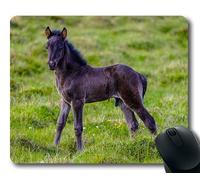 YENDOSTEEN Tappeti del Mouse del Cavallo, Campagna Alta vicina dell'animale, stuoia del Topo del Cavallo