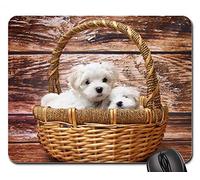 YENDOSTEEN Tappetini per Il Mouse - Cucciolo Maltese Cane Dormire Dolce Prato degli Animali