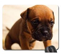 YENDOSTEEN Tappetini per Il Mouse - Ritratto Triste di Seduta Marrone Sveglio dell'animale Domestico del Cucciolo di Cane